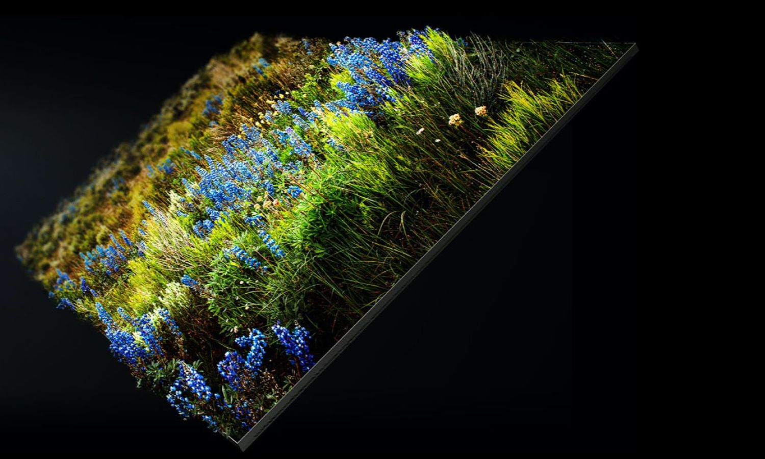 Samsung MicroLED Color Representation