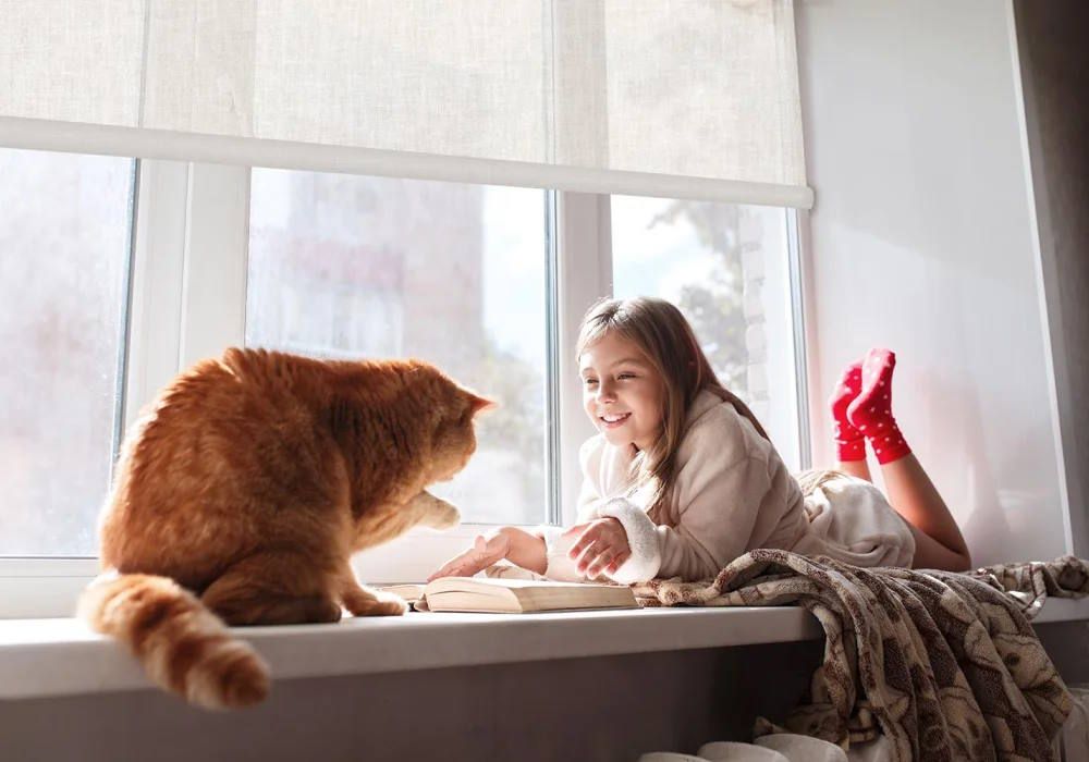 Child and cat on window with Crestron roller shades